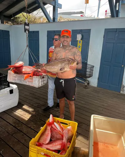 289063272_426372752693800_6179260532868917414_n